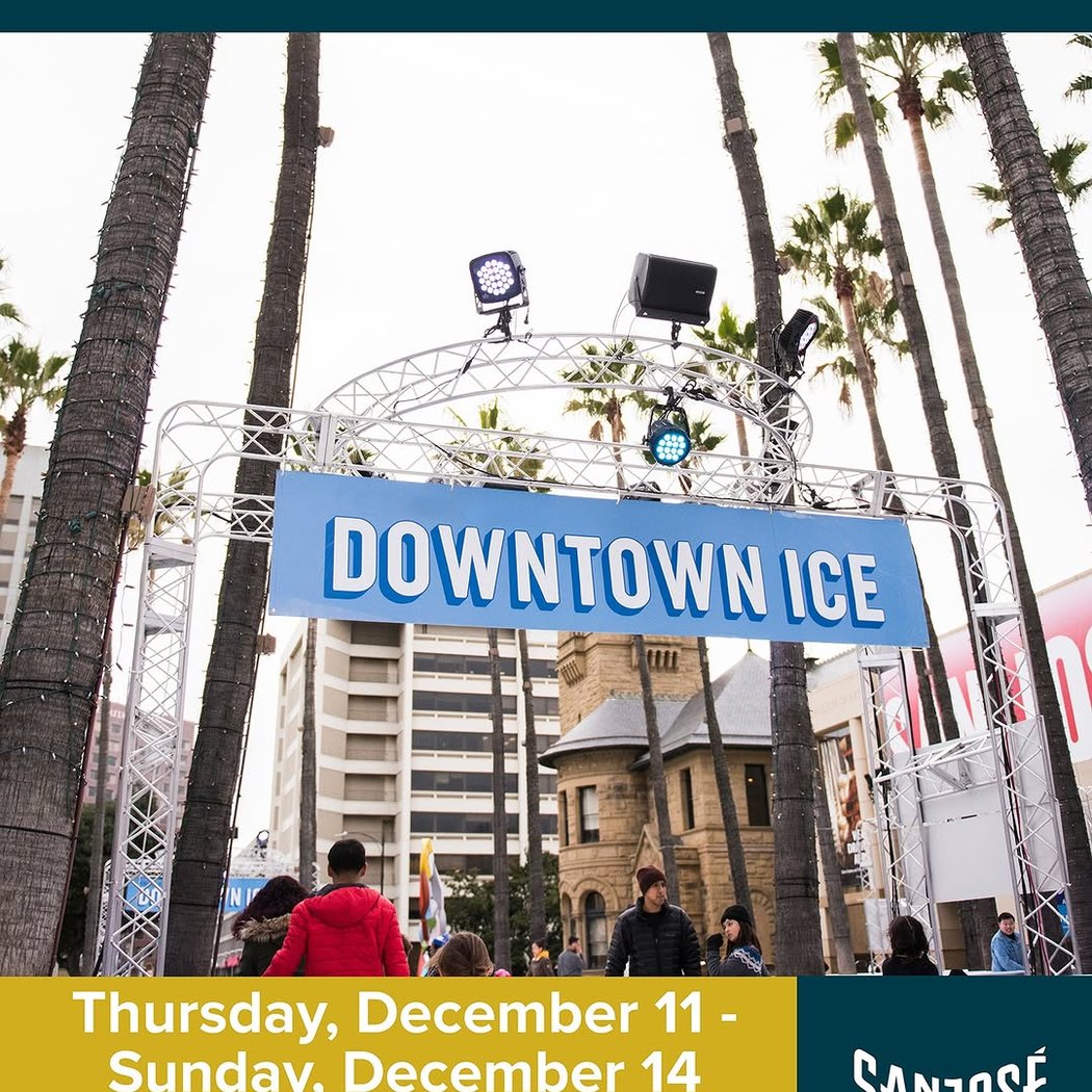 Skate Under the Palms at Downtown Ice 1